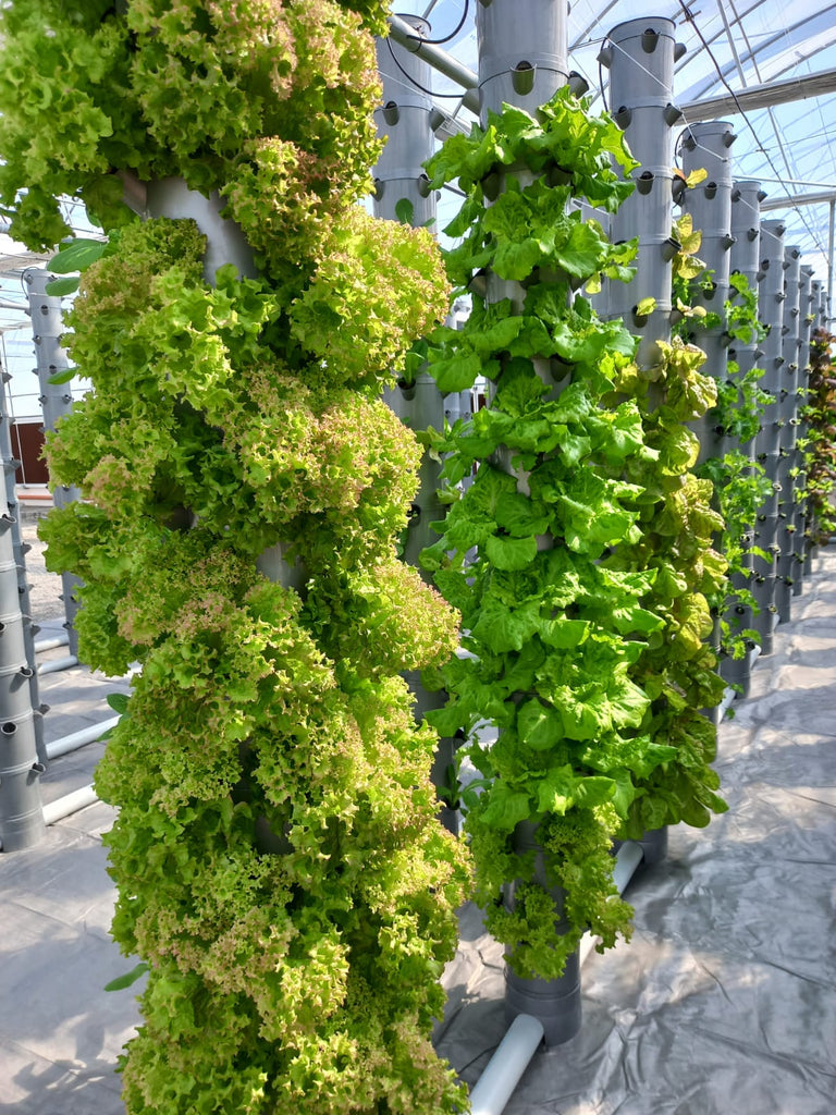 11 Major Benefits of Vertical Aeroponic Farming.