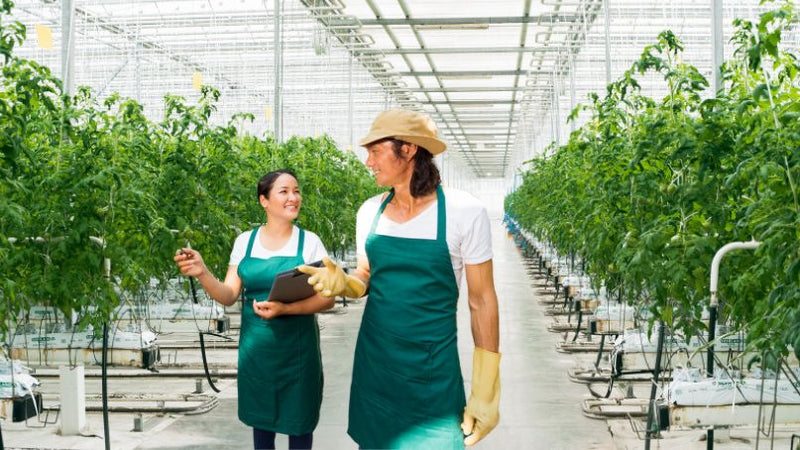 A group of hydroponic consultants gathered around a table, discussing a hydroponic system. They are examining charts, graphs, and blueprints, engaging in a collaborative and professional atmosphere. The consultants are holding tablets and notebooks, taking notes and sharing insights. The room is well-lit and equipped with modern technology, including large screens displaying hydroponic plant images and data. The consultants are dressed in business attire, demonstrating their expertise in the field.