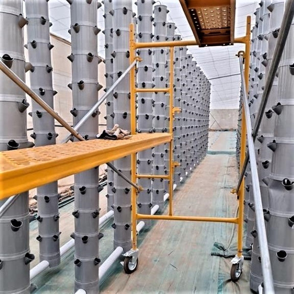Aeroponic tower farm in Spain