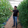 Hydroponic Consulting Services ( Less than 1000 sq.mtr) - RADONGROW